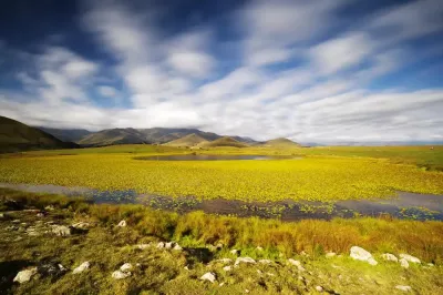 Ջրաշուշանների լիճ