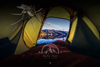 Палатка и Комары