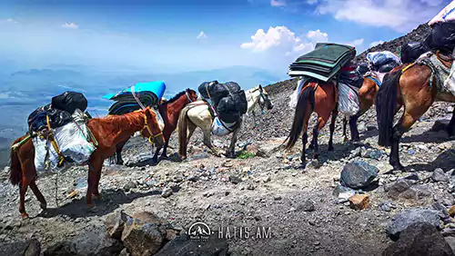 В лагеря Арарата перевезут вещи лошадьми