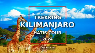 Climbing Kilimanjaro